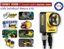 COGNEX VISION SYSTEMS